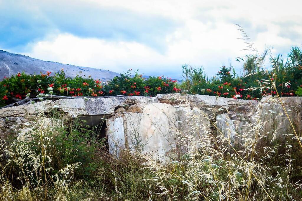 Villa Rania: Ευάερη Βίλα Με Θέα Τη Θάλασσα Lixoúri Eksteriør bilde