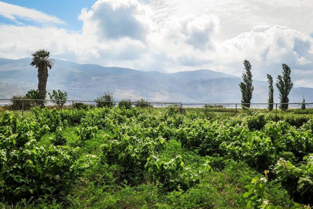 Villa Rania: Ευάερη Βίλα Με Θέα Τη Θάλασσα Lixoúri Eksteriør bilde